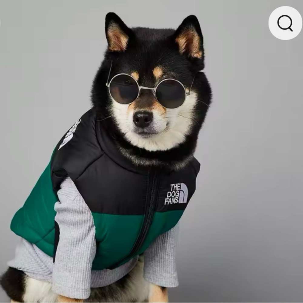 Fashion dog puffer jacket